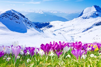 Frühling im Gebirge Reisetipp Allgäu