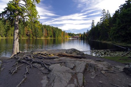 Natursee am Arber - Reisetipp Bayrischer Wald