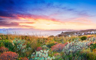 Madeira - Die 10 schönsten Reiseziele im Frühling