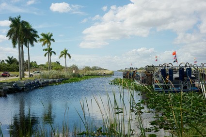 Florida Everglades - Reisetipp Florida