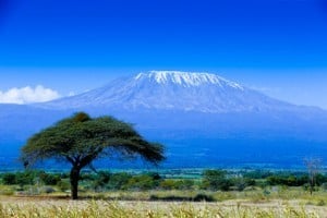 Kilimanjaro - Reisetipp Tansania