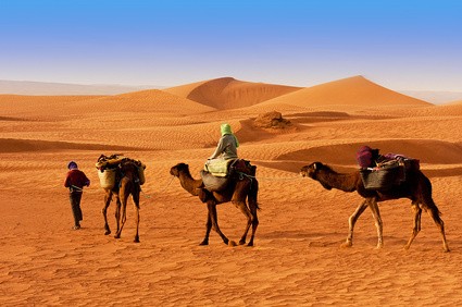 Sahara Wüste - Die 10 größten Sandwüsten der Welt