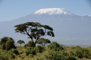 Kilimanjaro Afrika - Die 10 höchsten Berge Afrikas