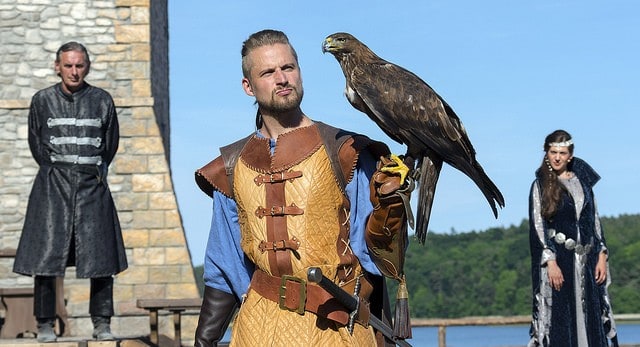 Störtebeker-Festspiele-Falke.jpg
