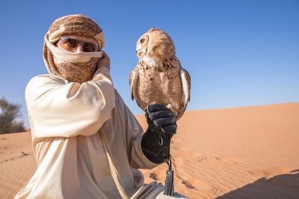Reiseblogonline-Wuestensafari-Dubai-Falke