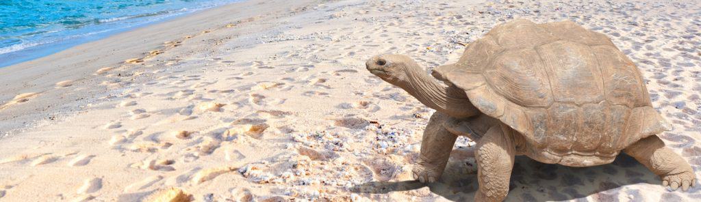 Umweltschutz Urlaub Seychellen