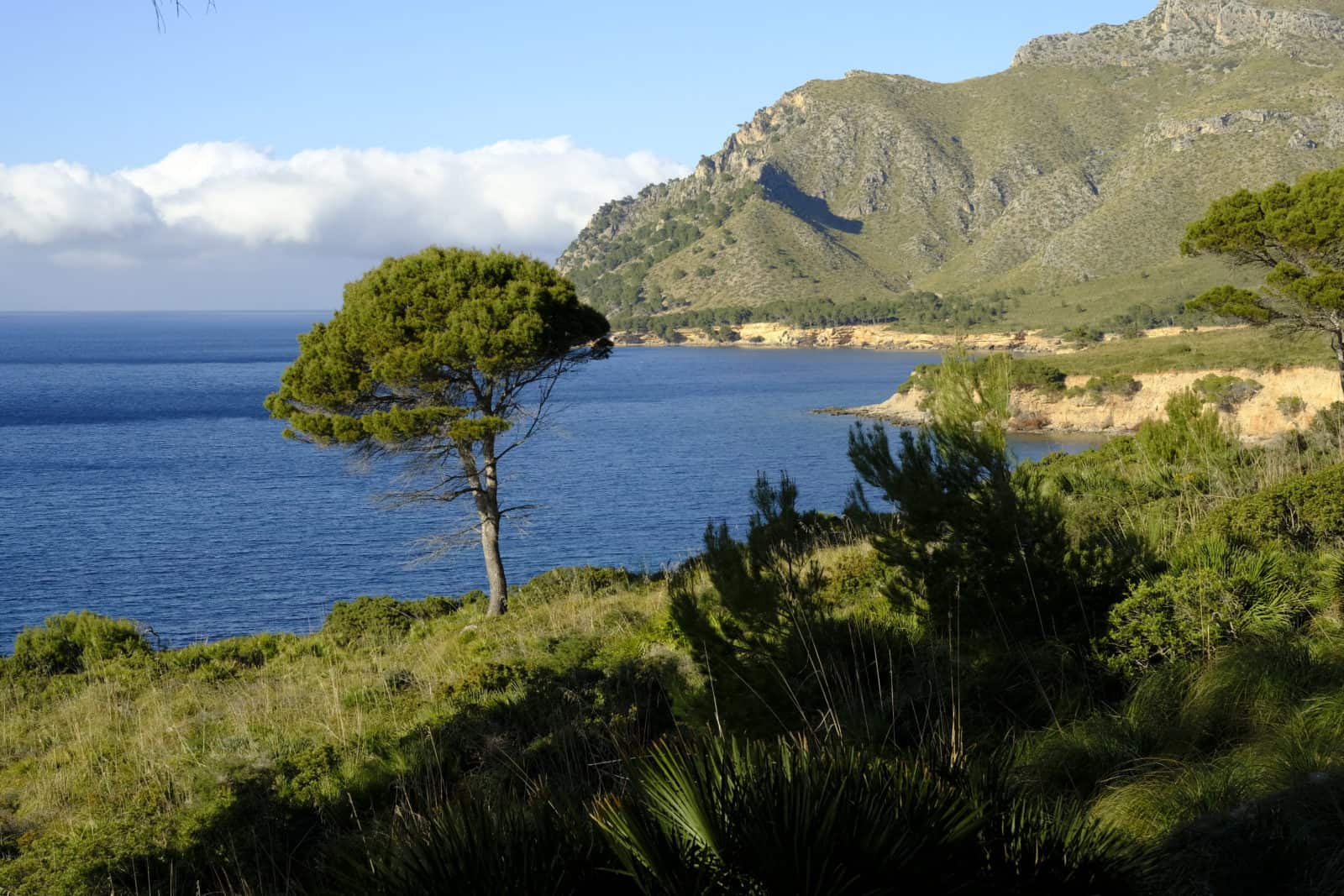 m Herbst Naturpark LLevant