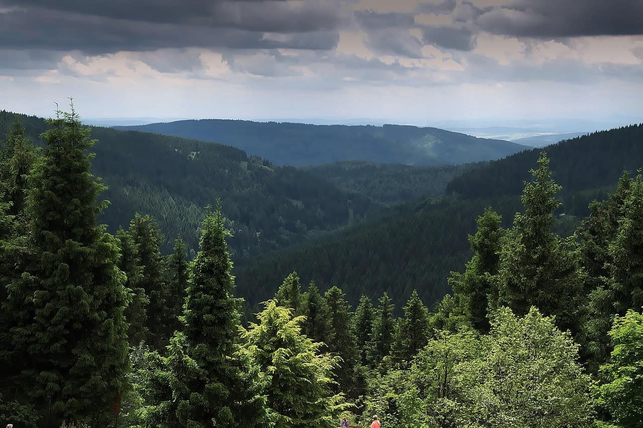 Thüringer Wald