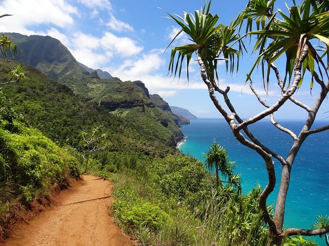 Hawaii-Kaui