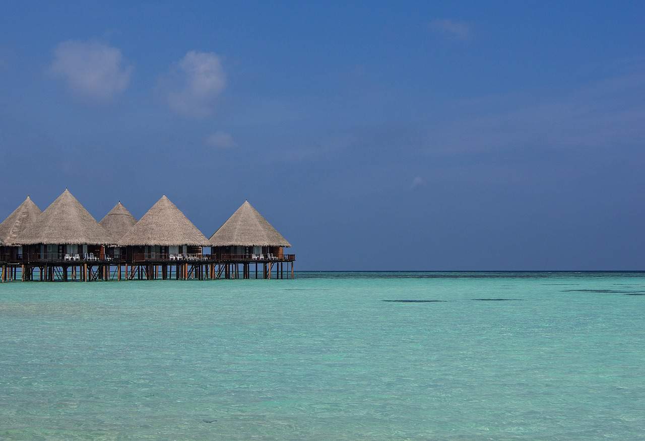 die 10 schönsten Tauchreviere der Welt_Ari-Atoll Malediven