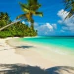 Traumurlaub schon gebucht?